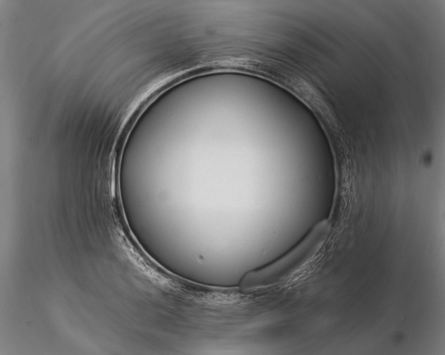 X0000116371036200912161433