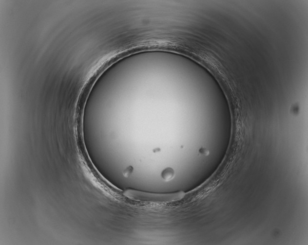 X0000116371038200912161433