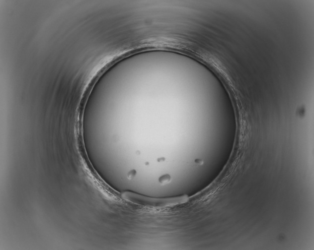 X0000116371040200912161433