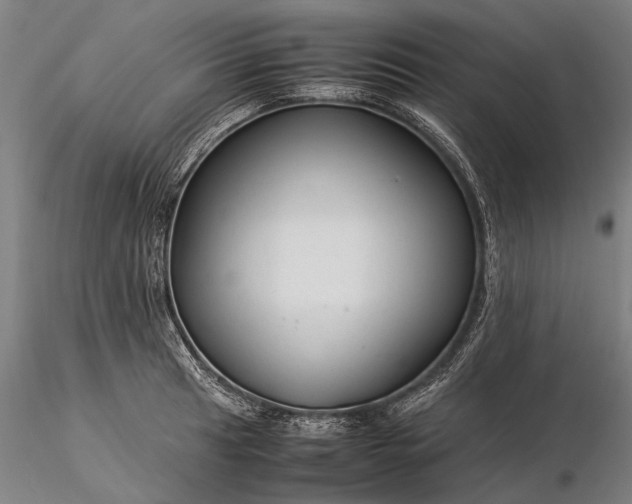 X0000116371041200912161433