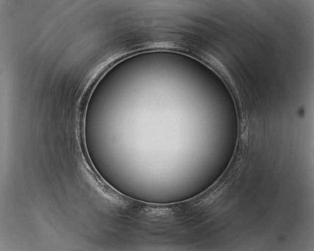 X0000116371043200912161433