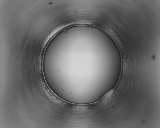 X0000116371044200912161433