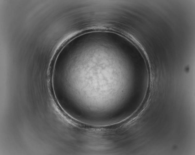 X0000116371045200912161433