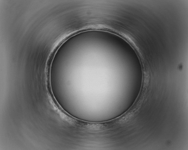 X0000116371046200912161433