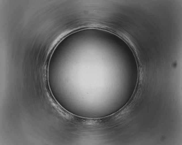 X0000116371048200912161433