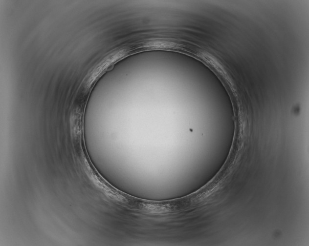 X0000116371049200912161433