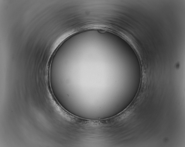 X0000116371050200912161433