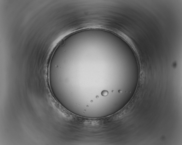 X0000116371051200912161433