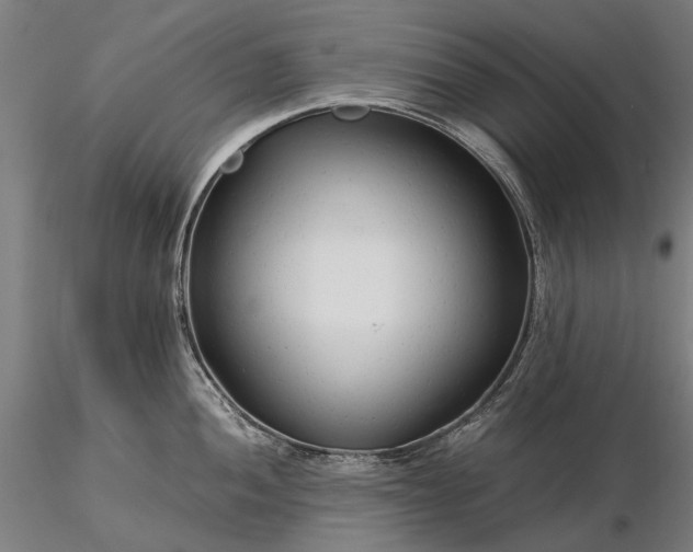 X0000116371052200912161433