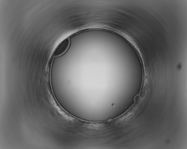 X0000116371053200912161433