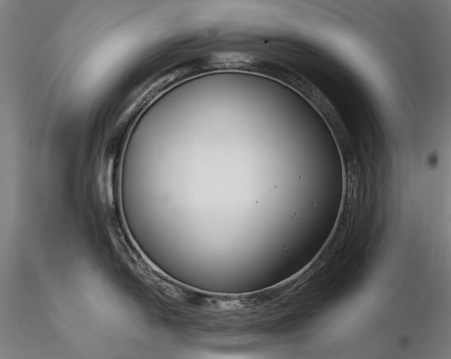 X0000116371054200912161433