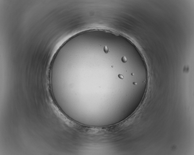 X0000116371056200912161433