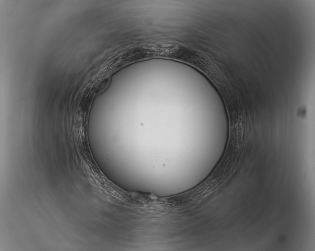 X0000116371058200912161433