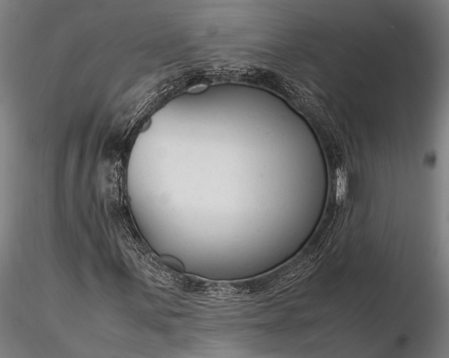 X0000116371059200912161433