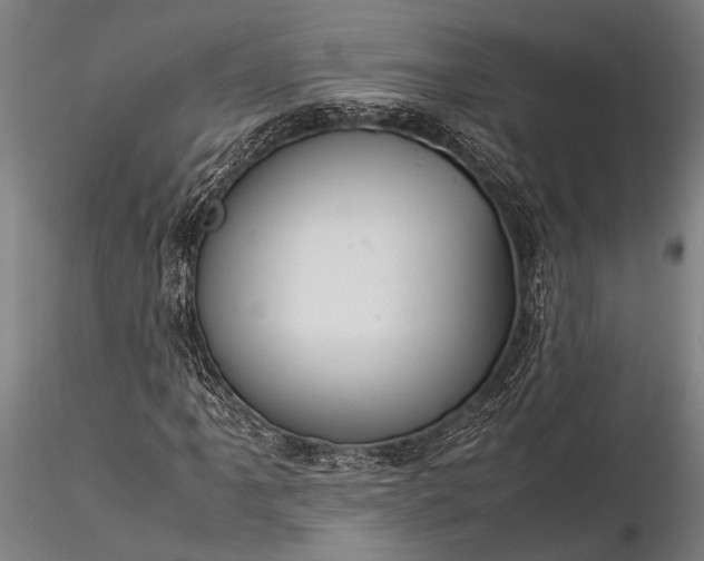 X0000116371061200912161433