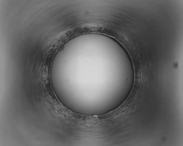 X0000116371062200912161433