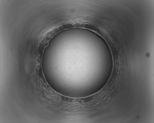 X0000116371063200912161433