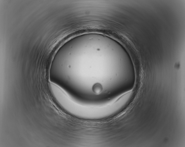 X0000116371065200912161433