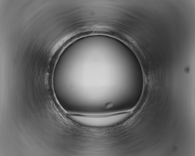 X0000116371066200912161433