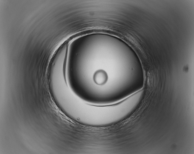 X0000116371068200912161433