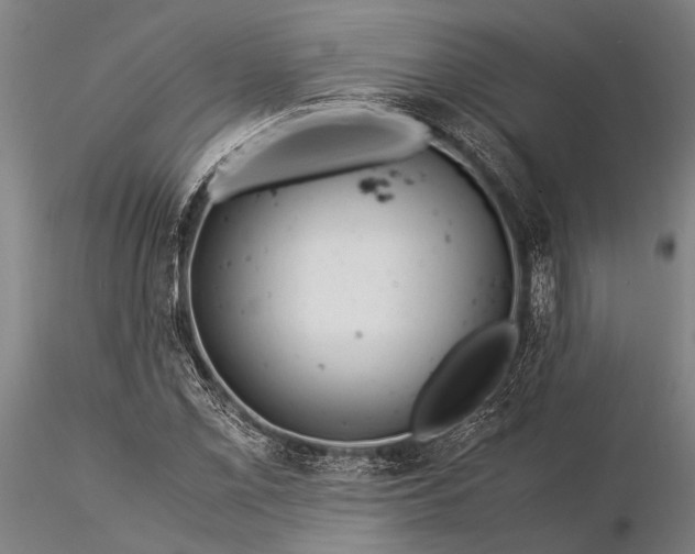 X0000116371069200912161433