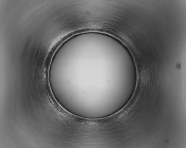 X0000116371070200912161433