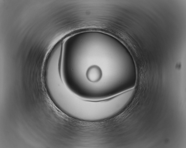 X0000116371072200912161433