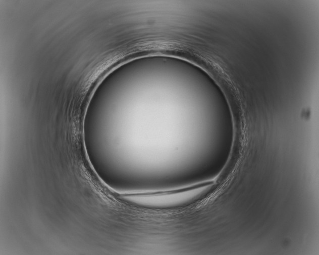 X0000116371073200912161433