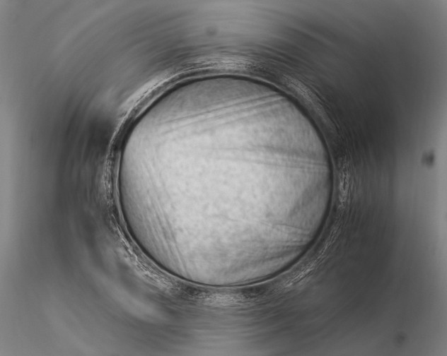 X0000116371074200912161432