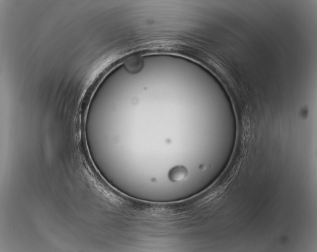 X0000116371075200912161432