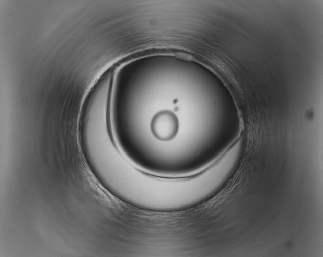 X0000116371076200912161432