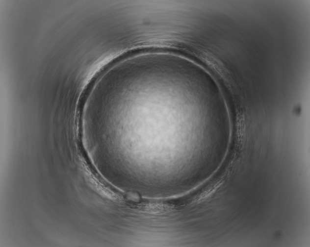 X0000116371077200912161432