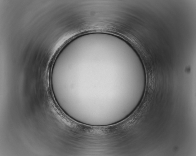 X0000116371078200912161432