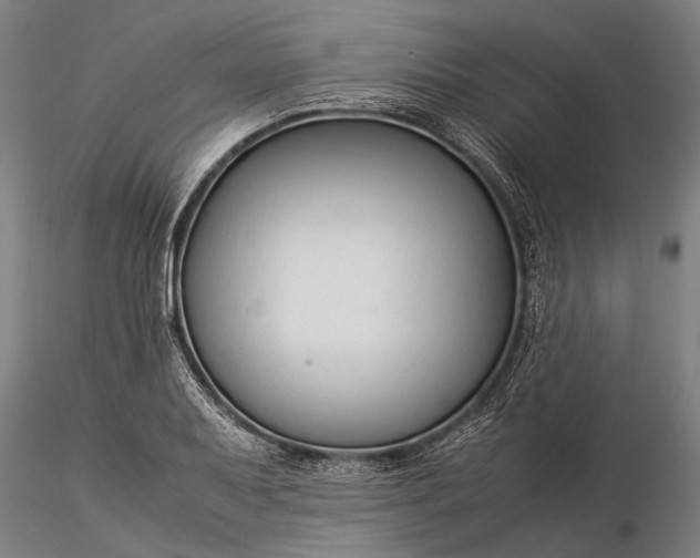 X0000116371079200912161432