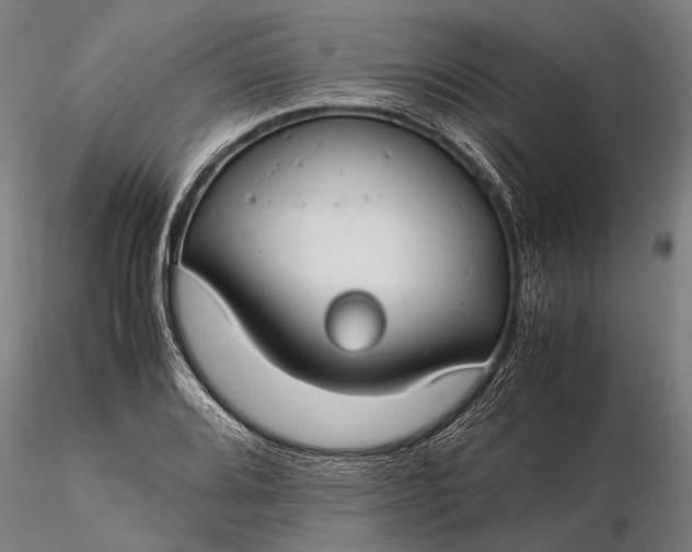 X0000116371080200912161432