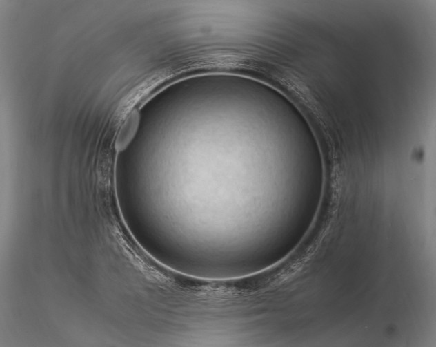 X0000116371081200912161432