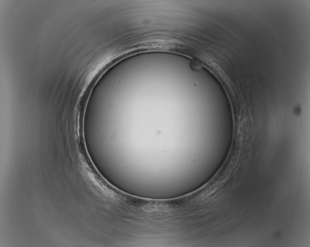 X0000116371083200912161432