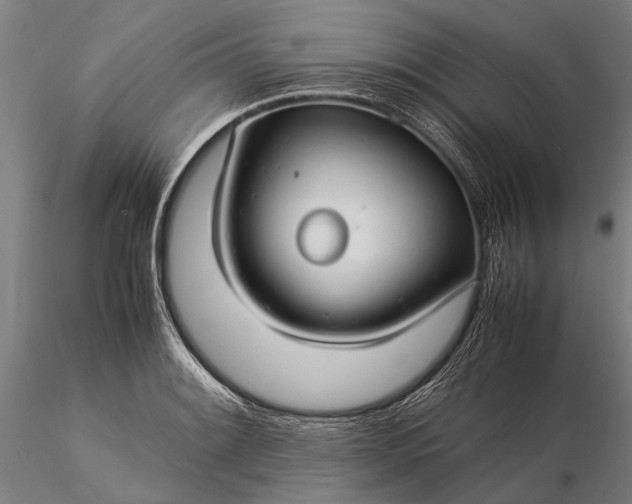 X0000116371084200912161432