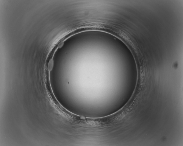 X0000116371085200912161432