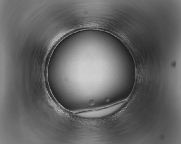 X0000116371086200912161432