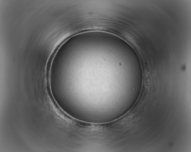 X0000116371087200912161432