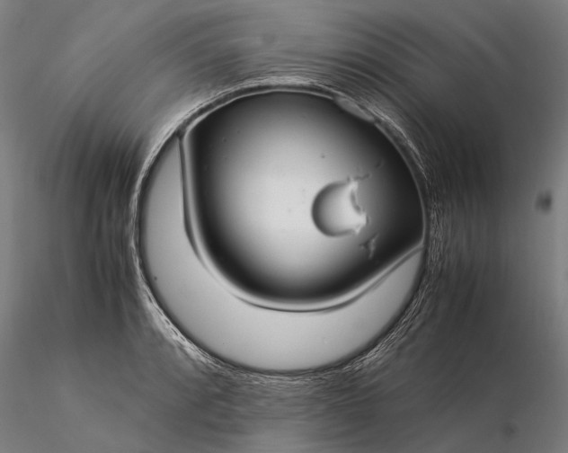 X0000116371088200912161432