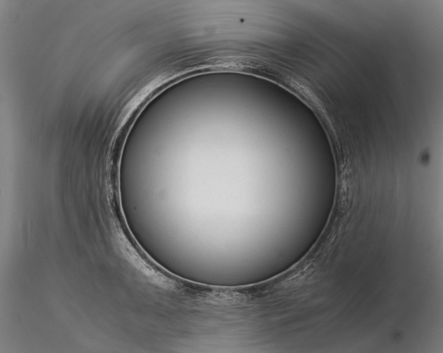 X0000116371091200912161432