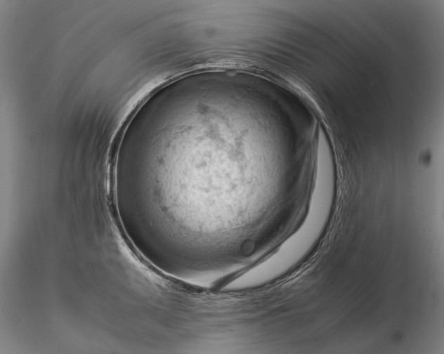 X0000116371095200912161432