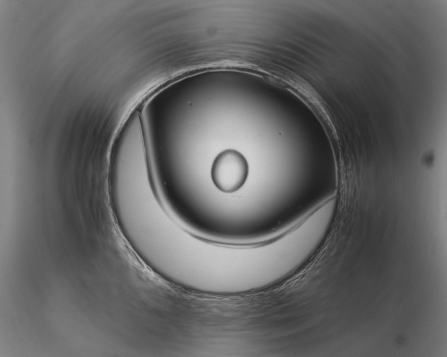 X0000116371096200912161432