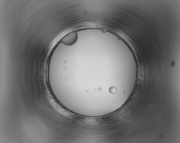 X0000116371098200912161432