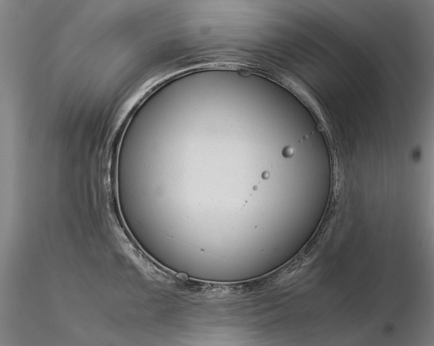 X0000116371099200912161432