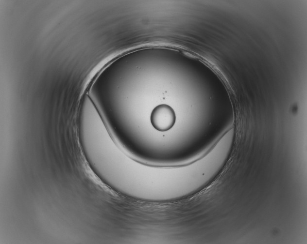 X0000116371100200912161432