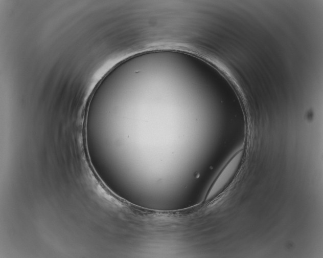 X0000116371102200912161432