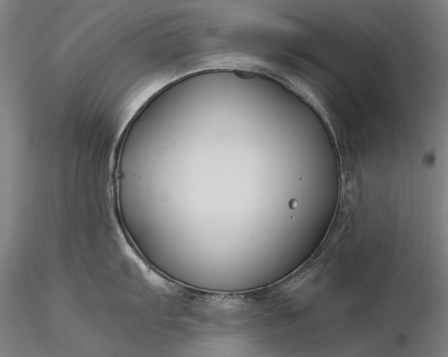 X0000116371103200912161432